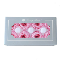 Têtes de roses Austin préservées, boîte de 8 pièces, têtes de fleurs de roses éternelles, matériel floral DIY pour boîte cadeau, cadre, décoration de mariage