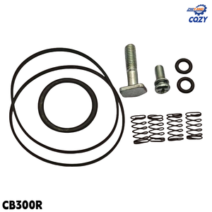 Ensemble de balais de charbon de qualité originale pour moto CB300R, support de balais de charbon pour moteur <span class=keywords><strong>Honda</strong></span> CB300R, pièces de moto de rue - Product Image 5