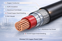 Cable de Alimentación de Bajo Voltaje YJV 4Cx 50mm2 con Aislamiento de PVC y Cubierta de PVC, Conductor de Cobre Trenzado para Computadora