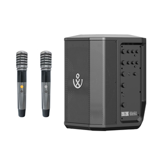 Enceinte PA <span class=keywords><strong>XDOBO</strong></span> SINOBAND WUKONG 300W avec 2 micros, mixeur 2 canaux pour DJ mobiles et petites salles, répétitions et événements - Product Image 1