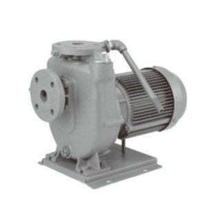 Pompe centrifuge auto-amorçante Ebara Fq4234 40Fq62.2B Corps en fonte grise Chambre de circulation en acier inoxydable 304 Origine Japon - Product Image 3