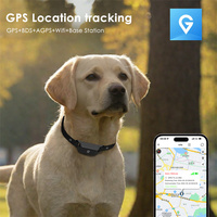Nouvelle Arrivée 4G Pet Smart Tracking Device Chat Chien App Moniteur D'activité En Temps Réel Anti-Perte GPS Tracker Collier Avec Appel Vocal