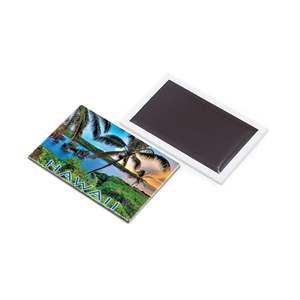 Imán de nevera con forma de logotipo 3D de la isla de Hawái, recuerdo de boda, regalo para invitados, recuerdo de Hawái - Product Image 4