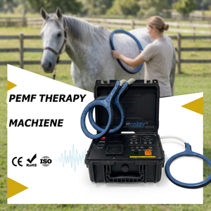 Factory Price PEMF <b>Machine</b> Sports Injury Repair Inflammation Reduction PEMF Therapy <b>Machine</b> for Pet Rehabilitation Center - Product Image 1