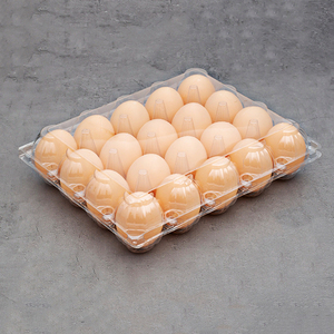 Carton à œufs réutilisable en plastique transparent, capacité 30 œufs, plateau transparent pour usage familial et pastoral - Product Image 5