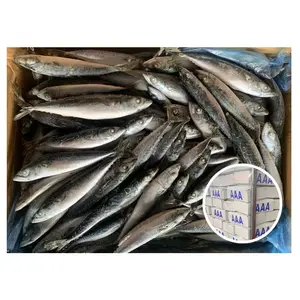 Cheap Price 50-80 Fresh Fish Scomber Japonicus Seafood Frozen North Pacific Mackerel