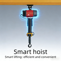 Polipasto de Cable Inteligente Compacto y Portátil de 300 kg con Certificación CE y Grúa Móvil Plegable