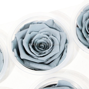 Di alta qualità 5-6cm di lunghezza tocco naturale vera rosa all'ingrosso <span class=keywords><strong>Rose</strong></span> per sempre conservate per la laurea natale ringraziamento - Product Image 6