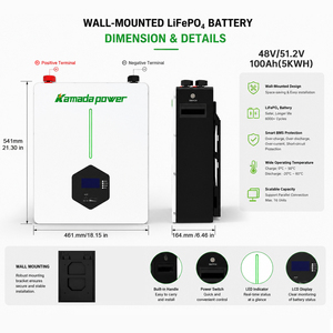 แบตเตอรี่ออลอินวัน 51.2V 100Ah 200Ah 30kw 50kw ไฮบริด 50kWh 100kWh ระบบกักเก็บพลังงานภายในบ้าน RA 51.2V 100Ah RA 51.2V 100Ah RA 5 - Product Image 5
