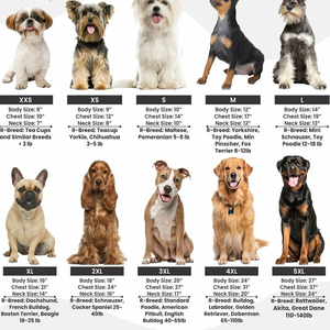 Camiseta de algodón 100% para perros bordada 'Classy Sassy Bit Bossy' lavable a máquina lindo <span class=keywords><strong>chaleco</strong></span> para mascotas para perros grandes ropa rosa para perros - Product Image 2