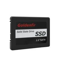 Goldenfir blanc/noir 2.5 SATAIII 250 Go transfert efficace ordinateur portable de bureau adapté au lecteur à semi-conducteurs interne