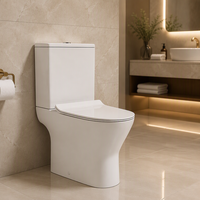 WC moderne occidental deux pièces, cuvette de toilette européenne complète avec chasse d'eau, siphon en S et siphon en P, sans bride, pour hôtels