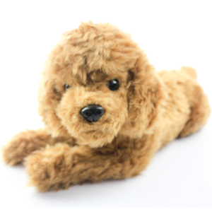 Nhà Sản Xuất Trực Tiếp Đáng Yêu Thiết Kế Thực Tế Động Vật <span class=keywords><strong>Poodle</strong></span> Teddy Puppy Chó Sang Trọng Nhồi Bông Đồ Chơi Mềm - Product Image 6