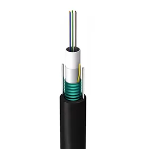 OEM gyxtw 12 Core Single Mode gepanzertes 10mm Glasfaser kabel für höhere Zug festigkeit