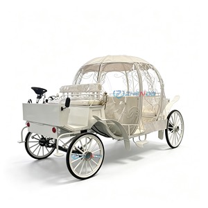 Nouvelle Conception d'Usine - Carrosse Citrouille de Style Européen en Acier Q235B, Modèle Électrique Surdimensionné Sur Mesure pour 10-12 Personnes - Product Image 2