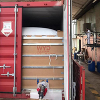Flexitank Qualité Alimentaire 24000L Flexibags 20ft Conteneur Transport de Liquide en Vrac Solution de Réservoir Flexible pour Huile Vin Eau Jus