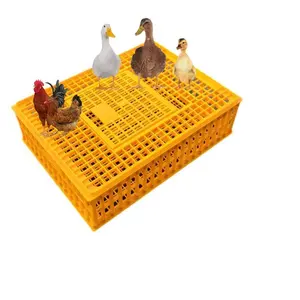 Chinese manufacturers Full size Live Chicken Duck rabbit poultry Plastic Chicken Broiler Transport Crate Coop