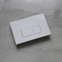 Plaque de chasse d'eau dissimulée en ABS blanc YADY avec bouton à double chasse Catégorie de produit Boutons poussoirs de toilette