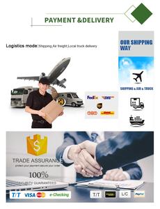 高品質のカシア種子エキス粉末 - Product Image 6