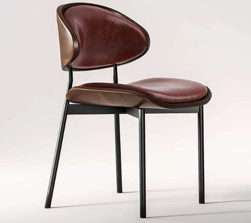 สีน้ำตาล