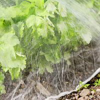 Panneaux en maille anti-insectes blancs personnalisés, longueur et largeur sur mesure, découpe sur mesure - Housse de protection pour plantes fournie