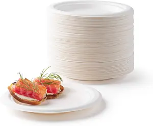 customized Environmental friendly disposable sugarcane tableware 9inch compostable bio degradable bagasse paper plate