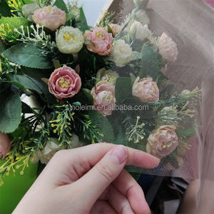 Red de encaje <span class=keywords><strong>HD</strong></span>, película Original, transparente, invisible, Base, Red de encaje suizo - Product Image 6