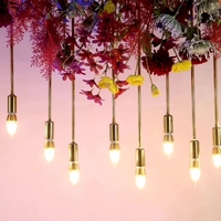 Lustre à 10 têtes Starlight, guirlandes lumineuses décoratives pour la mise en scène de mariage, décoration de plafond pour fête et fond de scène de mariage