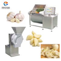 Kosteneffectieve was- en snijmachine voor knoflook, ui, gember en champignons (250 kg/uur) voor groenteverwerkingsbedrijven