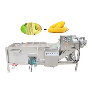 Máquina de lavar e descascar rabanete comercial Fruit Rinsing Machine Máquina de lavar roupa automática coco com certificado CE