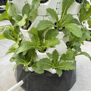 Système hydroponique vertical de Type ananas 8 pièces en plastique à économie de main-d 'œuvre pour la culture de légumes 6/8/10 composants de noyau de pompe de niveau inclus - Product Image 6