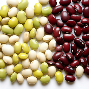 Haricots Carioca, Fournisseur Brésilien, Vente en Gros - Product Image 1