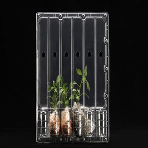 Bandeja de Transporte de Plástico para Plántulas 725X430X6mm, Caja de Embalaje Transparente para Uso en Viveros de Vegetales y Flores - Product Image 2