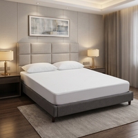 Protège-matelas en bambou respirant et rafraîchissant de qualité supérieure, imperméable, directement de l'usine