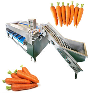 Fournisseur de la Chine Machine de tri d'oignons Machine de classement de fruits avec le meilleur <span class=keywords><strong>prix</strong></span> - Product Image 4