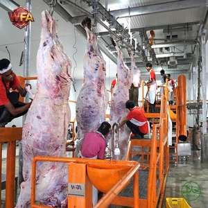 Boîte de retournement de carcasses Halal, structure robuste en acier inoxydable, équipement auxiliaire pour le retournement des carcasses bovines et ovines - Product Image 4