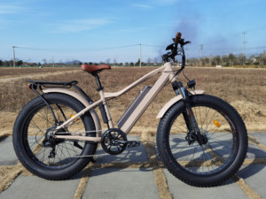 Vélo électrique tout-terrain 26 pouces <span class=keywords><strong>Fat</strong></span> MTB, batterie lithium 48V 15Ah, moteur Bafang à moyeu arrière, pour <span class=keywords><strong>neige</strong></span> et plage, pneus larges - Product Image 5