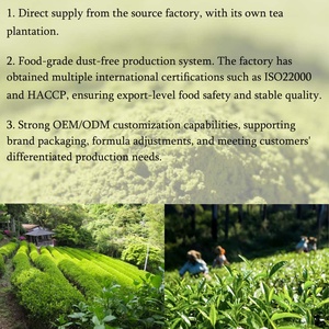 <span class=keywords><strong>KiKi</strong></span> Matcha Japonés en Polvo con Certificación Halal de Grado Alimenticio, Color Verde Vibrante, Textura Suave para Repostería y Bebidas - Product Image 5