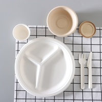 Assiettes jetables en pulpe de canne à sucre épaissie, biodégradables, pour salades, collations, gâteaux d'anniversaire, barbecues, et plateaux de peinture artistique – Abordables
