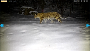 Caméra de <span class=keywords><strong>chasse</strong></span> HD Beijing avec dispositif de surveillance de la faune dissimulé haute définition à verrouillage caché - Product Image 4