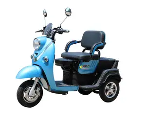 Chang Li 2020 Điện 500W Ba Bánh/Điện Hàng Hóa Trike Đạp Điện Thoại Di Động Cho Người Lớn