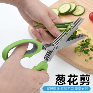 กรรไกรตัดสมุนไพร 5 ชั้น สีเทาอมเขียว สแตนเลส หัวตรง สำหรับใช้ในครัวเรือน รุ่นที่ 1 รุ่นที่ 2 - Product Image 5