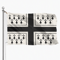 Drapeau personnalisé en polyester 3x5 pieds, drapeau de la Bretagne avec œillets en laiton, drapeau de la région historique française, drapeau extérieur personnalisé