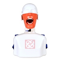 Cabeza de Maniquí Dental con Torso, Simulador Dental con Modelo de Dientes