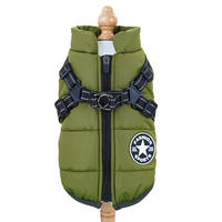 Manteau de luxe haut de gamme pour chien, gilet rafraîchissant et respirant, personnalisé pour toutes les saisons (hiver, printemps, été), pour grandes et petites races, sur mesure