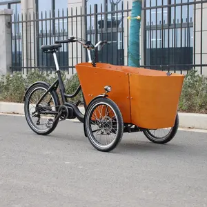 Bicicleta elétrica de carga para adultos, bicicleta elétrica de 3 rodas com cesta, triciclo elétrico de 500 W, bicicleta elétrica