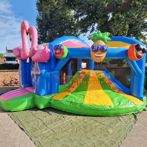 Tobogán acuático inflable de flamenco para niños con piscina de chapoteo, castillo inflable comercial combinado para juegos al aire libre. - Product Image 3