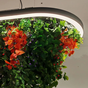 DALI dimmerabile pianta verde artificiale ciondolo LC60150-90180 LED circolare curva luce ovale per <span class=keywords><strong>balcone</strong></span> - Product Image 1