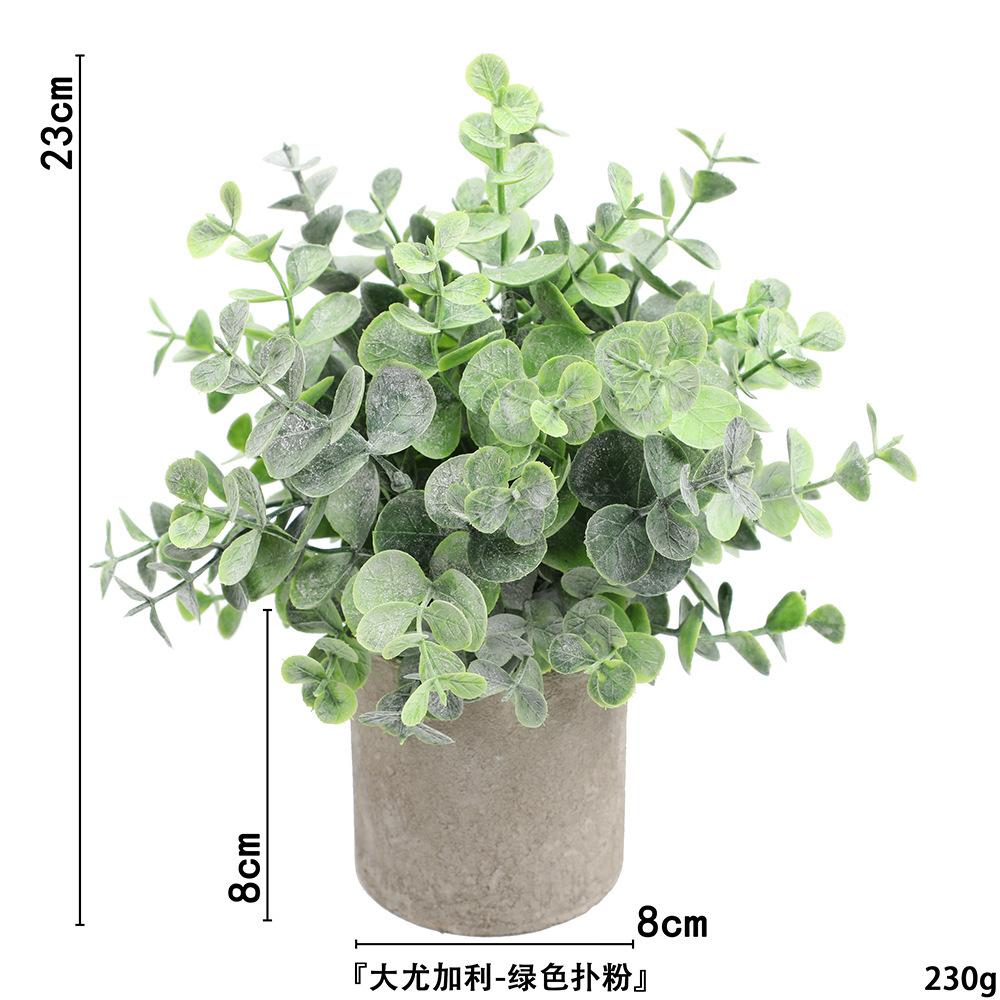 Grosse poudre d'eucalyptus ahe368-069