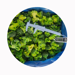 Giá Bán Buôn Xuất Khẩu Bông Cải Xanh Đông Lạnh Trong Rau Đông Lạnh - Product Image 3